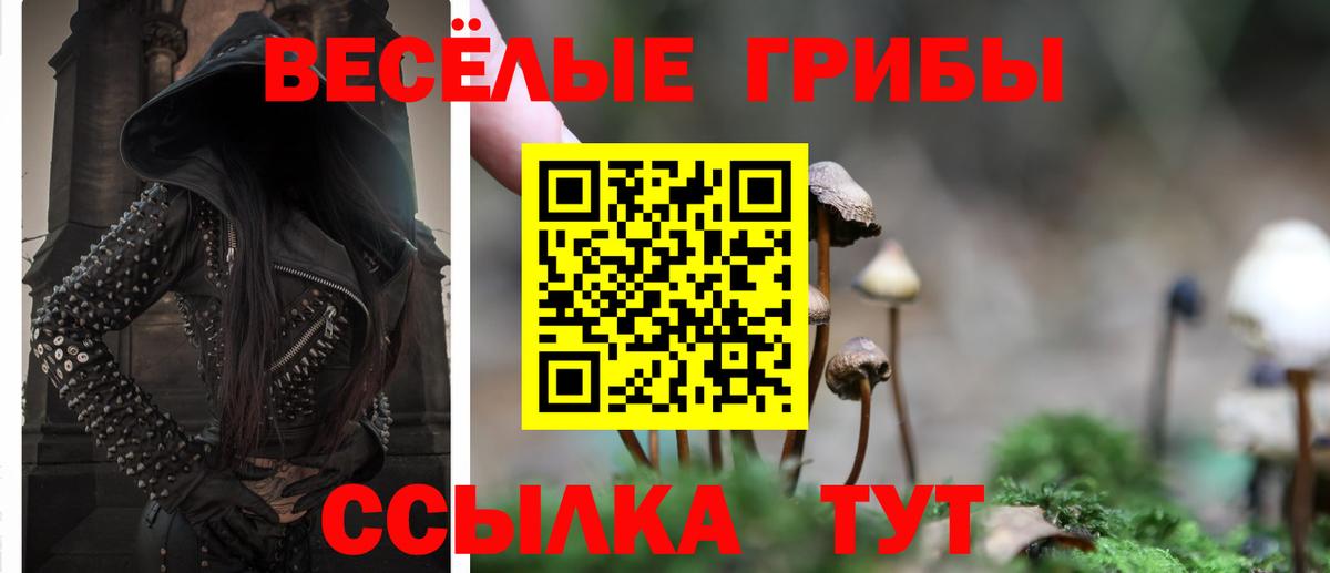 купить закладку  Галлюциногенные грибы мицелий  Вход с VPN  Псилоцибиновые грибы MAGIC MUSHROOMS  Кизляр 