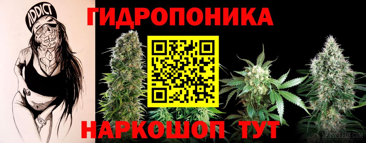 Бошки марихуана марихуана  Бошки Шишки AK-47  Бошки марихуана VHQ  Вход с VPN  Кизляр  Шишки марихуана тримм 